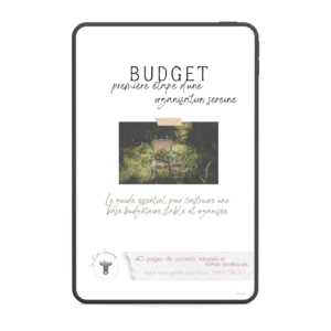 Couverture du guide Ebook 'Budget : première étape d'une organisation sereine', vue sur tablette, pour aider les futurs mariés à établir un budget clair et structuré